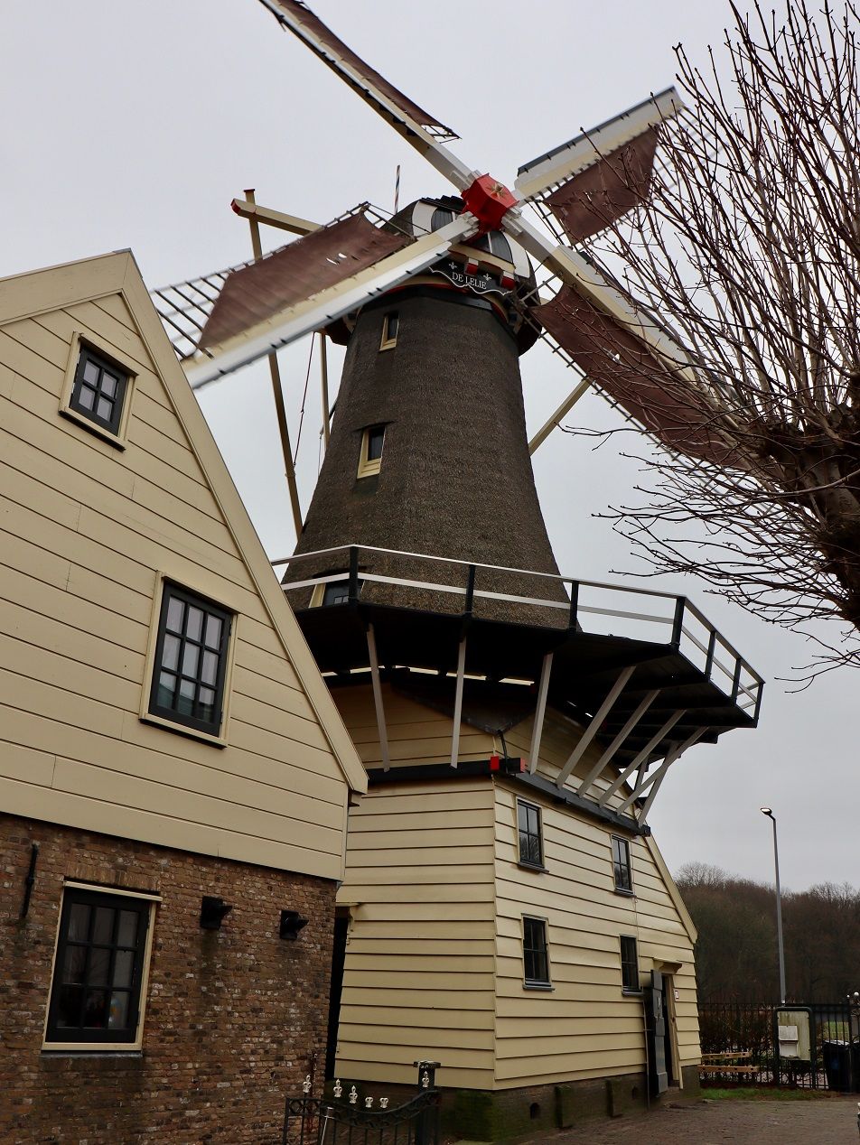 Nieuwezeilen8