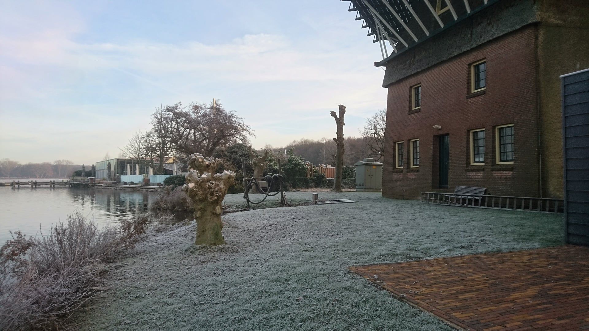 Snoeien4
