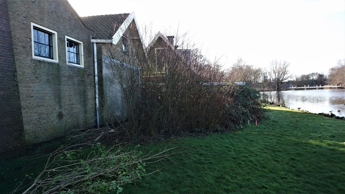 Struiken1 1200